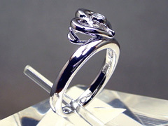 ファイザー、英国で投与開始となるワクチンのリーフレットを公開