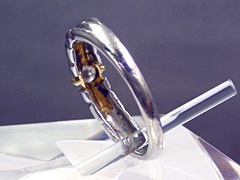 人間の腕を噛むサシバエの写真。 リーシュマニア症